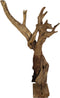 HSM Collection Decoratie Erosi hias - blank - oud hout