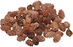 Dennenappel baby spruce 2 a 3 cm Groot - Zakjes van 200gr