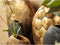 Light & Living Vaas Turtle - Brons - 51x14x50cm - Modern - Sinterklaas cadeau - Sinterklaas cadeautjes - Cadeau vrouw - Cadeau man - Cadeau voor haar - Cadeau voor hem - Sint cadeau - Sint kado - Kado man - Kado vrouw