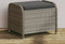 vidaXL - Tuinkruk - met - kussen - 58x46x46 - cm - poly - rattan - grijs