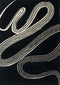 Vloerkleed Brink & Campman Decor Flow Caviar 91305 - maat 250 x 350 cm