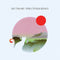 Leo Takami - Felis Catus & Silence - LP Standard Edition