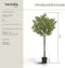 tectake® Kunstmatige Olijfboom Oleand - Kunstplant - Realistische Bladeren en Olijven - Hoogte: 150 cm