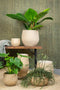 Ter Steege Plantenpot - moderne look - beige - 18 x 16 cm - bloempot