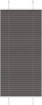 vidaXL - Plissé - rolgordijn - 60x150 - cm - stofbreedte - 59,4 - cm - polyester - zwart