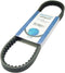 V-Snaar Dayco(8101) 18.5 X 811 Runner /Stalker/Nrg-Mc3