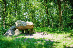 Customize it - Tuinschilderij prehistorie 130x70cm