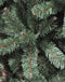 Triumph Tree Forrester Kunstkerstboom - H120 x Ø81 cm - Groen
