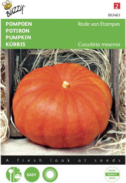 2 stuks - Buzzy - Pompoenen Rode Van Etampes