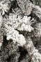 Black Box Trees Snowdon - Kunstkerstboom - H215 x Ø127 cm - Groen frosted