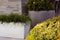 Capi Europe - Bloembak rechthoek Arc Granite - 60x35x40 - Antraciet - Bloempot Voor binnen en buiten - Beschikbaar in XL formaten - Breukbestendig - 100% Recyclebaar - Levenslang garantie - NATS8061