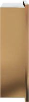 vidaXL - Douchenis - 32x32x9 - cm - roestvrijstaal - geborsteld - goudkleurig