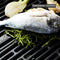Barbecook Spring 3002 Gasbarbecue - Staal - Zwart