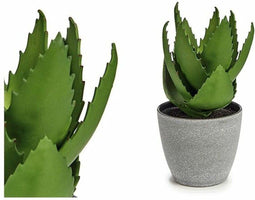 Decoratieve plant Aloë Vera Plastic (14 x 23 x 14 cm)