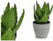 Decoratieve plant Aloë Vera Plastic (14 x 23 x 14 cm)
