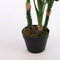 Mica Decorations Monstera Kunstplant in Pot - H100xØ75 cm - Set van 2