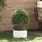 vidaXL - Tuinbak - Wit - 30x30x20 - cm - Staal