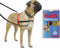 Halti Harnass Anti trektuigje - Hond - Small - Borstomvang 30 tot 60 cm - Rood