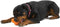 Zogoflex Tux hondenfrisbee - L - Tangerine Oranje