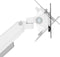 Neomounts DS70-250WH2 - Bureaumount - Full motion voor 2 schermen tot 32