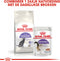 Royal Canin Sterilised - Katten Brokken - 2 kg