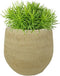 Ter Steege Plantenpot - moderne look - beige - 18 x 16 cm - bloempot