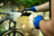 WD-40 Specialist® Bike Cleaner - 500ml - Krachtige Reiniger - Ontvetter - Verwijdert vuil olie modder