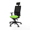 Bureaustoel met hoofdsteun Piqueras y Crespo 1D066G1 Pistache