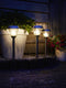 Luxform - Solar Tuinlamp - Michigan - 50 Lumen - Intelligent Hybride - Werkend op zonne-energie