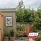 Steeneik Quercus ilex h 225 cm st. omtrek 5 cm st. h 170 cm