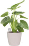 Elho Brussels Rond Wielen - Grote Bloempot - 100% Gerecycled Plastic - Ø 39.0 x H 36.5 cm - Wit