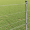 vidaXL - Veldhek - 0,8x50 - m - Gegalvaniseerd - Staal