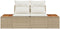 vidaXL - 2-Zits - Tuinbank - met - Kussens - - - Beige - Poly - Rattan