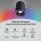 Calex Halo - Slimme Opbouwspot - RGB en Warm Wit Licht - Zwart