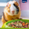 Vitakraft - Menu Vital - Caviavoeding - Compleet Voer voor Cavia's- 3 kg