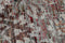 Sari Silk TX-3422 Vloerkleed - 200x300 - Rechthoek - Laagpolig,Oosters,Vintage Tapijt - Modern - Meerkleurig