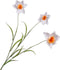 Silk-ka Zijden Bloem-Kunstbloem Narcis Tak Wit 70 cm Voordeelaanbod Per 2 Stuks