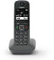 Gigaset AE690 - DECT-telefoon - 2 handsets - GAP Handsfree Nummerherkenning Wekker (2 stuks)