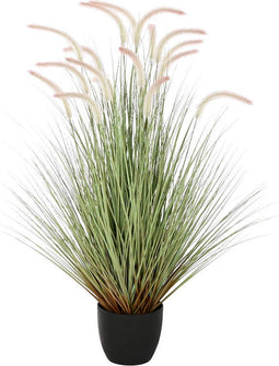 Decoratieve plant Home ESPRIT PVC Polyethyleen 60 x 60 x 120 cm