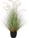 Decoratieve plant Home ESPRIT PVC Polyethyleen 60 x 60 x 120 cm