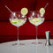 Leopold Vienna - Gin Tonic glazen + barmaatje + cocktaillepels - Giftset moederdag & vaderdag G&T