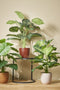 Mica Decorations Tusca Bloempot - 19x19x18 cm - Keramiek - Donkerbruin