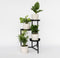 Plant in a Box - Budget mix van 4 luchtzuiverende kamerplanten - Musa - Chamadorea - Syngonium - Coffea - Pot 12cm - Hoogte 25-40cm