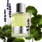 Tom Ford Beau De Jour 100 ml Eau de Parfum - Herenparfum