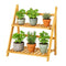Ceruzo Plantenrek Bamboe - 2-Laags Plantenstandaard - 50x28x54 cm - Naturel