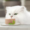 Gourmet Gold Mousse - Kattenvoer Natvoer - Konijn Rund Kalf & Lam - 96 x 85g