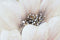 Schilderij Home ESPRIT Shabby Chic 80 x 3 x 80 cm (2 Stuks)