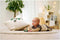 Eichhorn Baby HIPP Houten Duwfiguur Ezel