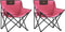vidaXL Campingstoelen 2 st met vakje inklapbaar roze
