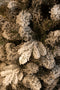 Black Box Trees Harma Smalle Kunstkerstboom - H215 x Ø66 cm - Groen Frosted